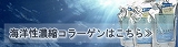 顼